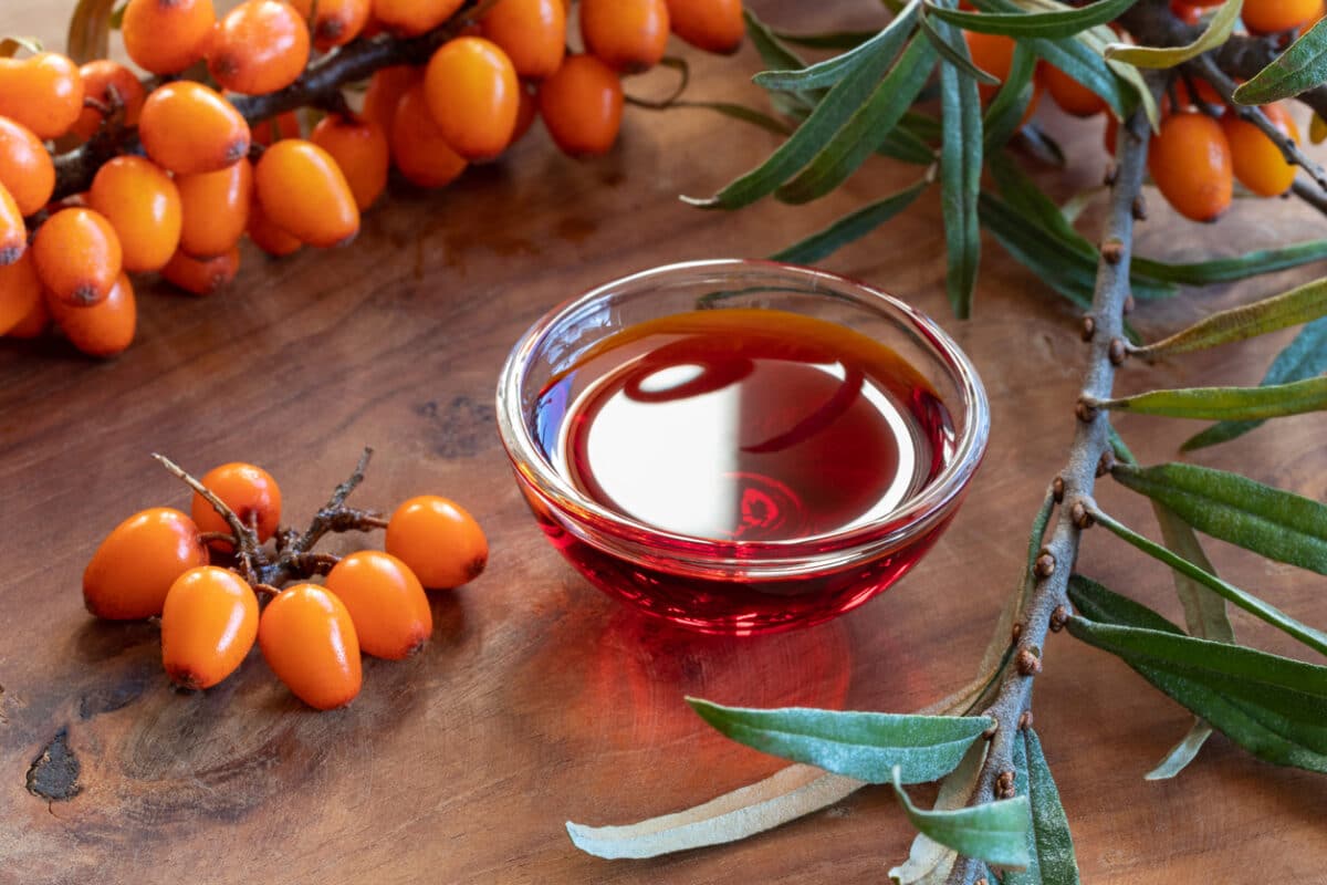 Sea buckthorn oil in a bowl with sea buckthorn berries