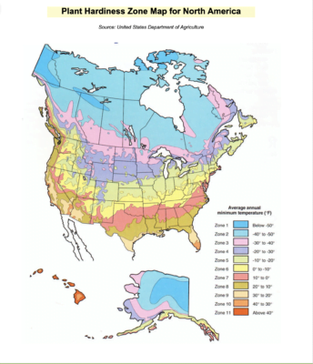 Map of North American Climate Zones - sea buckthorn grows in zones 2 to 7