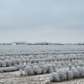 A view of Haskap Berry Farm in Winter